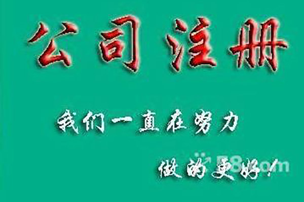 广西专业财税服务公司